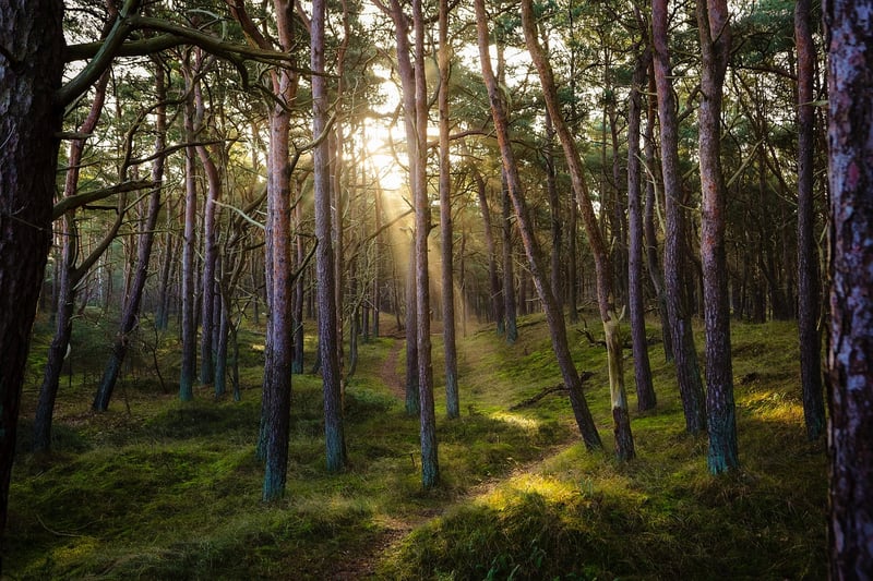 Connect with Nature